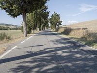 Straight Road Through Trees in Tuscany, Italy with Clear Sky