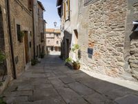 Tuscany, Italy: Suburban Alleyway Garden 003