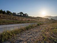 Tuscany Italy Sunrise on Rural Road in Nature 001