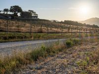 Tuscany Italy Sunrise on Rural Road in Nature