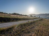 Tuscany Italy Sunrise on Rural Road Nature 003