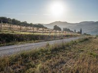 Tuscany Italy Sunrise on Rural Road in Nature