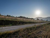 Tuscany Italy Sunrise Rural Road Nature 006