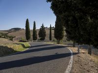 there are trees next to a country road on this nice day in italy by itself