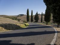 there are trees next to a country road on this nice day in italy by itself