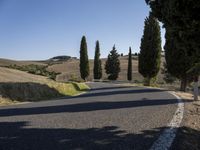 there are trees next to a country road on this nice day in italy by itself