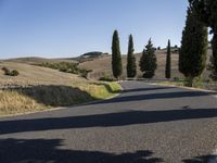 there are trees next to a country road on this nice day in italy by itself