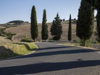 there are trees next to a country road on this nice day in italy by itself