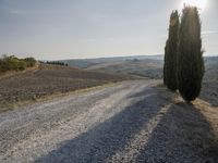 Tuscany, Italy: A Winding Road Through Rugged Terrain