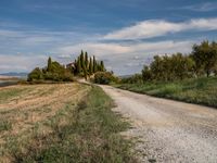 Tuscany Landscape with Clear Sky Nature 001