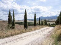 Tuscany Landscape: Clear Sky and Majestic Trees