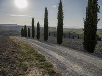 Tuscany Landscape with Cypress Fields and Hills