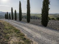 Tuscany Landscape with Cypress Fields and Hills