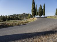 Tuscany Landscape: A Line of Cypress Trees