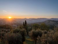 the sun shines brightly in this beautiful, tuscan - like landscape, but the light reflects it's orange color