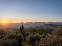 the sun shines brightly in this beautiful, tuscan - like landscape, but the light reflects it's orange color