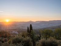 the sun shines brightly in this beautiful, tuscan - like landscape, but the light reflects it's orange color