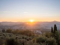 the sun shines brightly in this beautiful, tuscan - like landscape, but the light reflects it's orange color