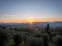 the sun shines brightly in this beautiful, tuscan - like landscape, but the light reflects it's orange color