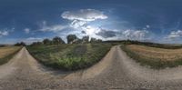 a wide panorama photo showing a rural road on a farm land with a lone road through which you can see a patch in the horizon