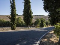 a man riding his motorcycle along the road between trees and fields as a woman walks away