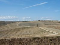 there is a train riding along a road on a field of rolling wheats in a rural area