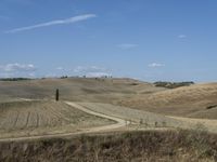 there is a train riding along a road on a field of rolling wheats in a rural area