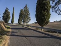 a long straight road between two rows of trees and grass and hills behind it with blue sky in the background