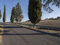 a long straight road between two rows of trees and grass and hills behind it with blue sky in the background