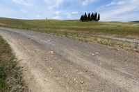 dirt road going up a hill with a grassy field next to it and an open hillside in the background