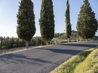 Tuscany Landscape: Nature's Beauty with Trees and Grass