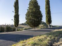 Tuscany Landscape: Nature's Beauty with Trees and Grass