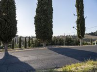 Tuscany Landscape: Nature's Beauty with Trees and Grass