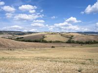 Tuscany Landscape: Rugged Highland Fields