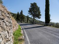 the paved road is made with cement bricks and green shrubs along both sides of it