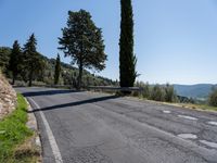 the paved road is made with cement bricks and green shrubs along both sides of it