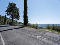 the paved road is made with cement bricks and green shrubs along both sides of it