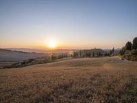 Tuscany Landscape: Sunrise with Golden Sunlight