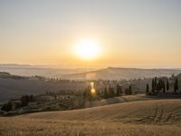 Tuscany Landscape: Sunrise with Golden Sunlight