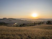 Tuscany Landscape: Sunrise with Golden Sunlight