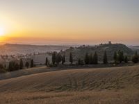 Tuscany Landscape: Sunrise with Golden Sunlight