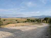 Tuscany Road: A Sunny Day Under a Clear Sky