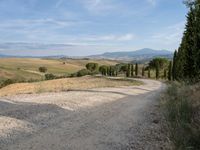 Tuscany Road: A Sunny Day Under a Clear Sky