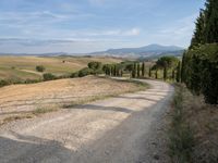 Tuscany Road: A Sunny Day Under a Clear Sky