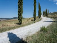 A Day on the Dirt Road: Exploring Tuscany's Stunning Landscape