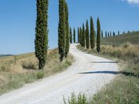 A Day on the Dirt Road: Exploring Tuscany's Stunning Landscape