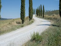 A Day on the Dirt Road: Exploring Tuscany's Stunning Landscape