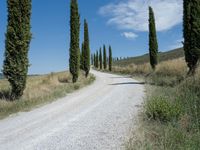 A Day on the Dirt Road: Exploring Tuscany's Stunning Landscape