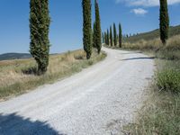 A Day on the Dirt Road: Exploring Tuscany's Stunning Landscape