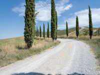 A Day on the Dirt Road: Exploring Tuscany's Stunning Landscape